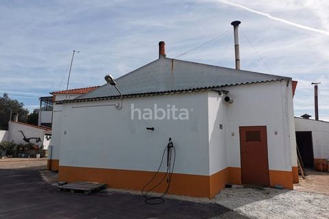 Villa i Cercal do Alentejo, Setubal, Cercal do Alentejo - € 640.000 | Ref: MB092201_VC - foto 7