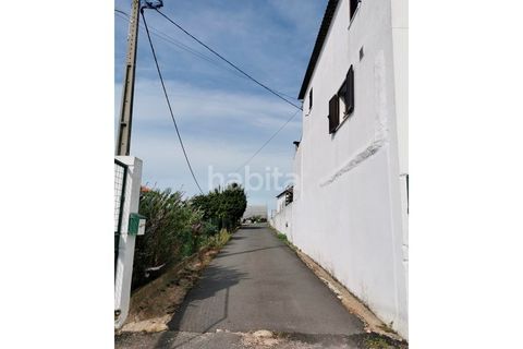 Villa i Cercal do Alentejo, Setubal, Cercal do Alentejo - € 640.000 | Ref: MB092201_VC - foto 8