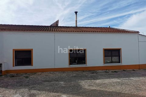 Villa i Cercal do Alentejo, Setubal, Cercal do Alentejo - € 640.000 | Ref: MB092201_VC - foto 9