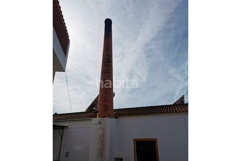 Villa i Cercal do Alentejo, Setubal, Cercal do Alentejo - € 640.000 | Ref: MB092201_VC - foto 10