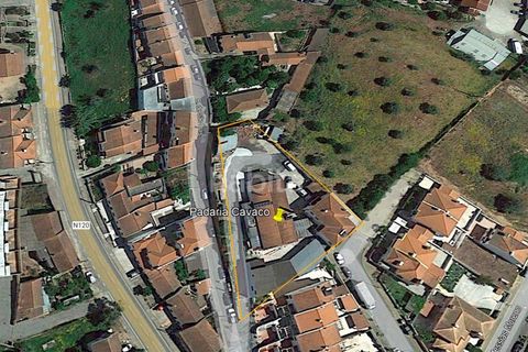 Villa i Cercal do Alentejo, Setubal, Cercal do Alentejo - € 640.000 | Ref: MB092201_VC - foto 13
