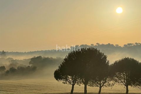 Villa i Cercal do Alentejo, Setubal, Cercal do Alentejo - € 640.000 | Ref: MB092201_VC - foto 19