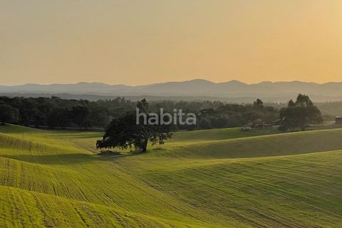 Villa i Cercal do Alentejo, Setubal, Cercal do Alentejo - € 640.000 | Ref: MB092201_VC - foto 21