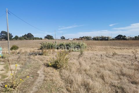 Granja a Sines, Setubal, Sines - € 1.500.000 | Ref: GR082101 - foto 5
