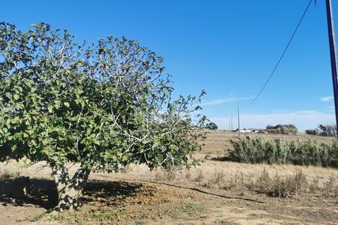 Granja a Sines, Setubal, Sines - € 1.500.000 | Ref: GR082101 - foto 11