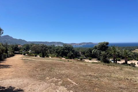 Helårsgrund i Lumio, Haute-Corse, Lumio - € 620.000 | Ref: 2167 - foto 1