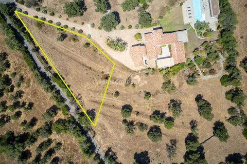 Helårsgrund i Lumio, Haute-Corse, Lumio - € 620.000 | Ref: 2167 - foto 2
