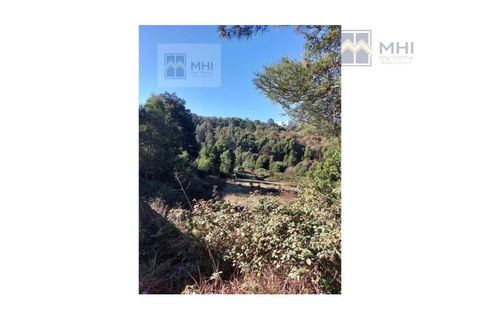 Helårsgrund i Crestuma, Porto, Crestuma - € 265.000 | Ref: MHI066 - foto 7
