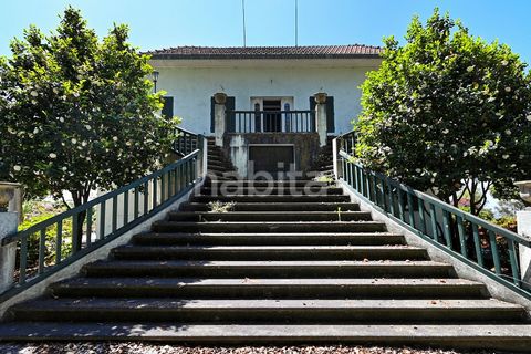 Farm i Muro, Porto, Muro - € 2.500.000 | Ref: LD052201 - foto 1