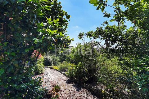 Farm i Muro, Porto, Muro - € 2.500.000 | Ref: LD052201 - foto 3