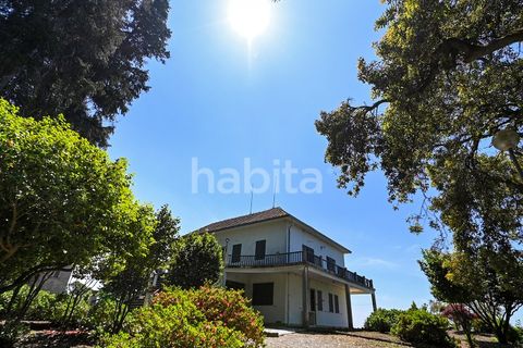 Farm i Muro, Porto, Muro - € 2.500.000 | Ref: LD052201 - foto 6