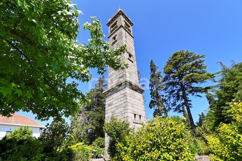 Farm i Muro, Porto, Muro - € 2.500.000 | Ref: LD052201 - foto 7