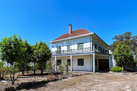 Farm i Muro, Porto, Muro - € 2.500.000 | Ref: LD052201 - foto 10