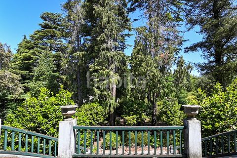 Farm i Muro, Porto, Muro - € 2.500.000 | Ref: LD052201 - foto 11