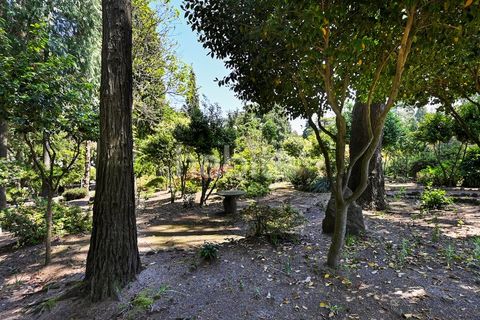Farm i Muro, Porto, Muro - € 2.500.000 | Ref: LD052201 - foto 12