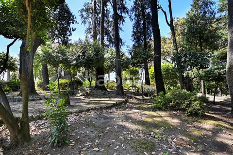 Farm i Muro, Porto, Muro - € 2.500.000 | Ref: LD052201 - foto 13