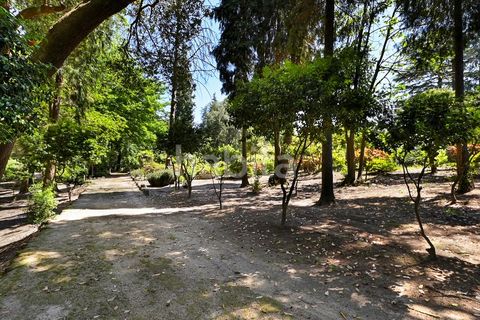 Farm i Muro, Porto, Muro - € 2.500.000 | Ref: LD052201 - foto 15