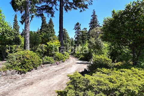 Farm i Muro, Porto, Muro - € 2.500.000 | Ref: LD052201 - foto 16