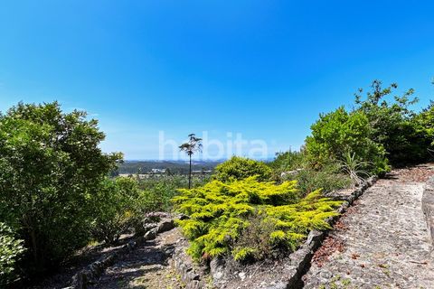 Farm i Muro, Porto, Muro - € 2.500.000 | Ref: LD052201 - foto 19
