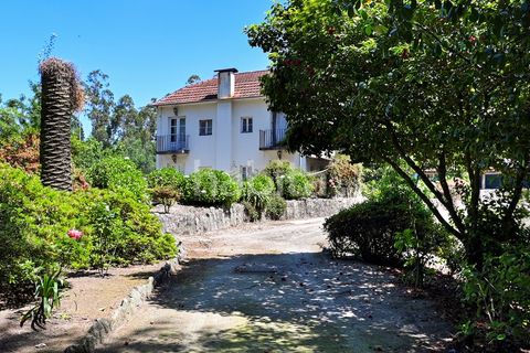 Farm i Muro, Porto, Muro - € 2.500.000 | Ref: LD052201 - foto 21