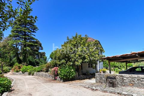 Farm i Muro, Porto, Muro - € 2.500.000 | Ref: LD052201 - foto 22