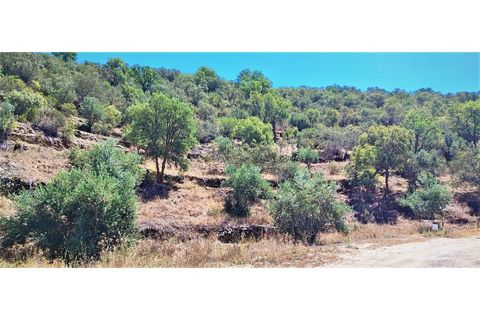 Terra a Nisa, Portalegre, Nisa - € 19.995 | Ref: SÒL_312 - foto 2