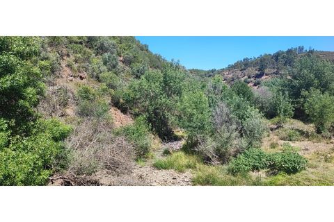 Terra a Nisa, Portalegre, Nisa - € 19.995 | Ref: SÒL_312 - foto 8