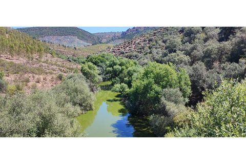 Terra a Nisa, Portalegre, Nisa - € 19.995 | Ref: SÒL_312 - foto 6