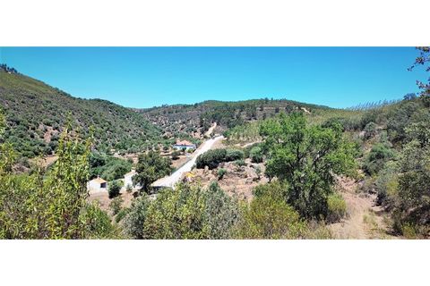 Terra a Nisa, Portalegre, Nisa - € 19.995 | Ref: SÒL_312 - foto 9