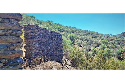 Terra a Nisa, Portalegre, Nisa - € 19.995 | Ref: SÒL_312 - foto 11