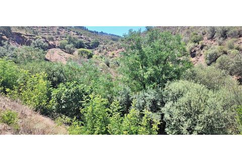 Terra a Nisa, Portalegre, Nisa - € 19.995 | Ref: SÒL_312 - foto 12