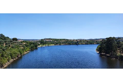 Terra a Nisa, Portalegre, Nisa - € 19.995 | Ref: SÒL_312 - foto 15