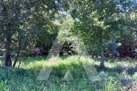 Helårsgrund i Murtosa, Aveiro, Murtosa - € 11.000 | Ref: 1060787/23 AL - foto 6