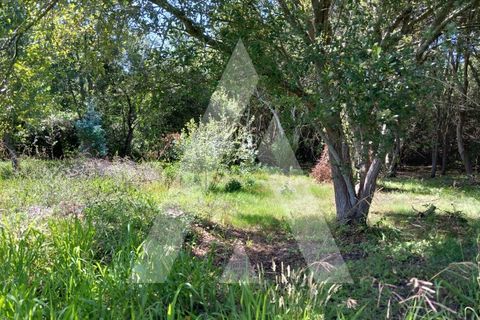 Helårsgrund i Murtosa, Aveiro, Murtosa - € 11.000 | Ref: 1060787/23 AL - foto 8