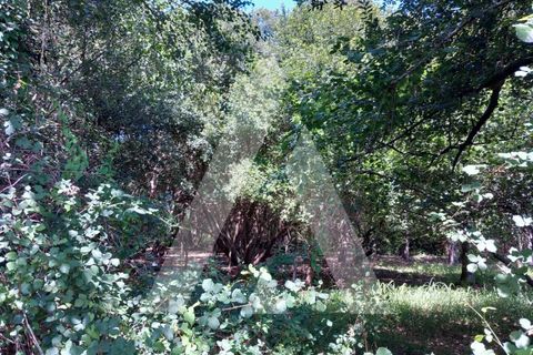 Helårsgrund i Murtosa, Aveiro, Murtosa - € 11.000 | Ref: 1060787/23 AL - foto 11