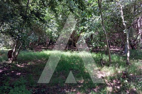 Helårsgrund i Murtosa, Aveiro, Murtosa - € 11.000 | Ref: 1060787/23 AL - foto 12