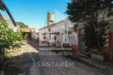 Villa a Alpiarca, Santarem, Alpiarca - € 245.000 | Ref: 11017 - foto 2