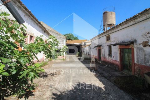Villa a Alpiarca, Santarem, Alpiarca - € 245.000 | Ref: 11017 - foto 4