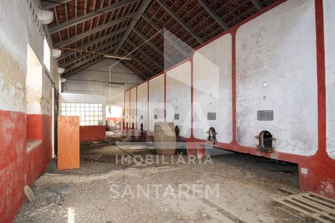Villa a Alpiarca, Santarem, Alpiarca - € 245.000 | Ref: 11017 - foto 5