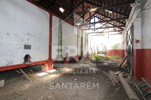 Villa a Alpiarca, Santarem, Alpiarca - € 245.000 | Ref: 11017 - foto 7