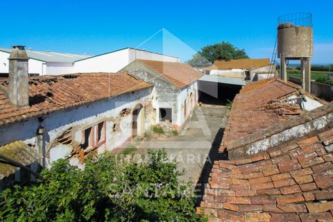 Villa a Alpiarca, Santarem, Alpiarca - € 245.000 | Ref: 11017 - foto 17