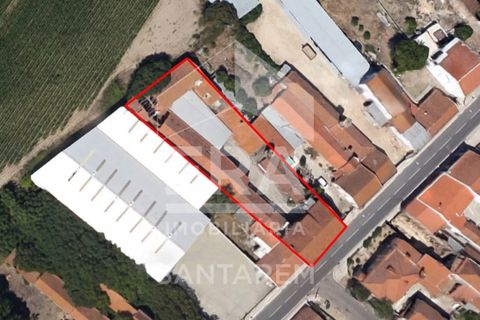 Villa a Alpiarca, Santarem, Alpiarca - € 245.000 | Ref: 11017 - foto 20