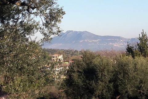 Terra a Morlupo, Rome, Morlupo - € 80.000 | Ref: 1339 - foto 2