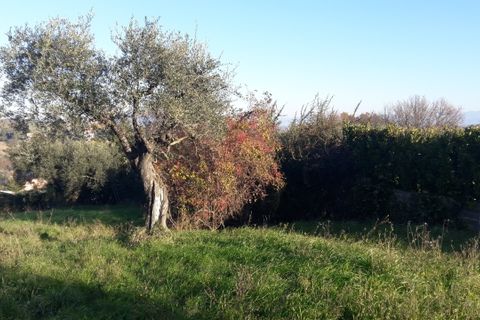 Terra a Morlupo, Rome, Morlupo - € 80.000 | Ref: 1339 - foto 6