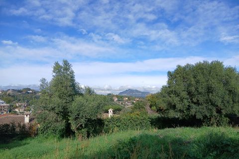 Terra a Morlupo, Rome, Morlupo - € 80.000 | Ref: 1339 - foto 7