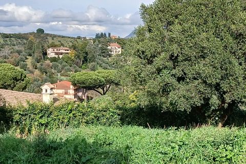 Terra a Morlupo, Rome, Morlupo - € 80.000 | Ref: 1339 - foto 9
