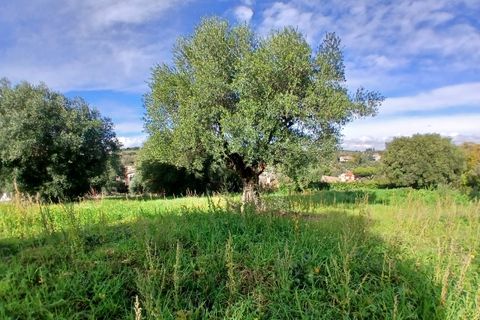 Terra a Morlupo, Rome, Morlupo - € 80.000 | Ref: 1339 - foto 10