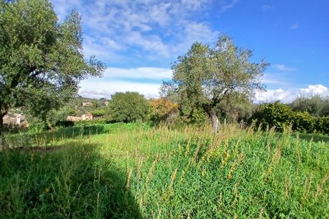 Terra a Morlupo, Rome, Morlupo - € 80.000 | Ref: 1339 - foto 11