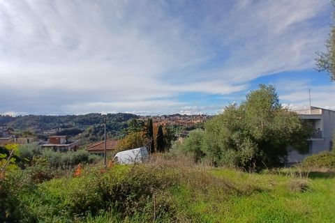 Terra a Morlupo, Rome, Morlupo - € 80.000 | Ref: 1339 - foto 15