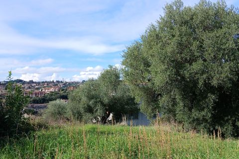 Terra a Morlupo, Rome, Morlupo - € 80.000 | Ref: 1339 - foto 18